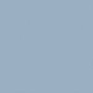 SANDERSON PAINT DOVE BLUE  112